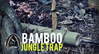 Bamboo Jungle Trap