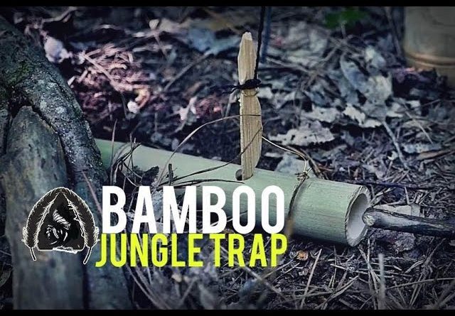Bamboo Jungle Trap