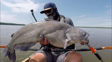 Trolling for GIANT blue catfish from a kayak!!